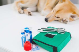 apteczka-dla-zwierzat apteczka dla psa i kota