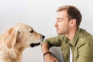 pies i człowiek sylwester