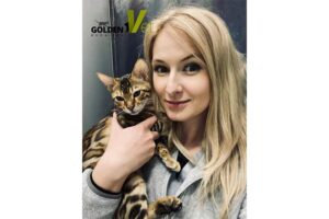 weterynarz kastracja kota