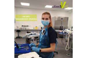 weterynarz-Golden-Vet Weterynarz GoldenVet i zabieg kamienia nazębnego GoldenVet Wrocław Gabinet Weterynaryjny