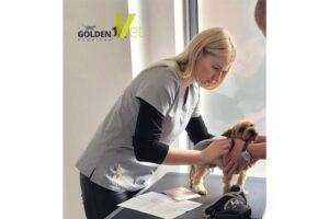 rutynowe badania u weterynarza