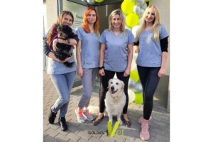 zespół weterynarzy goldenvet