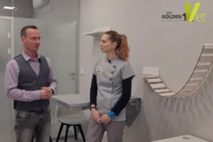 stomatologia zwierzęca higiena jamy ustnej psa i kota