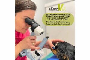 konsultacje okulistyczne dla zwierząt