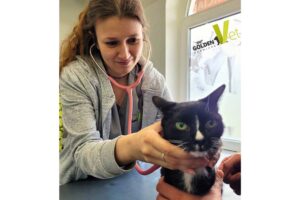 biegunka łzawienie i koci katar