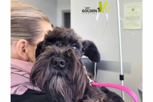 wizyty kontrolne Baili