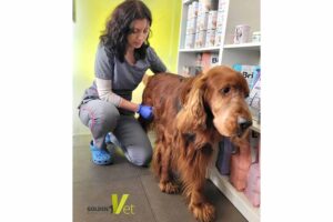 nadwaga-psa nadwaga psa