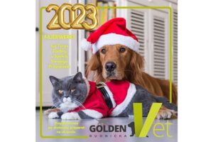 konsultacje sylwestrowe weterynarz wrocław