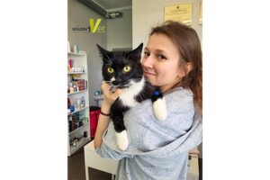 choroby neurologiczne u psa i kota