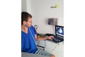 weterynarz wrocław kardiolog dla zwierząt